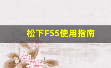 松下F55使用指南