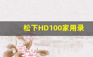 松下HD100家用录像机_松下hd100中文说明书