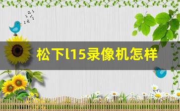 松下l15录像机怎样录像