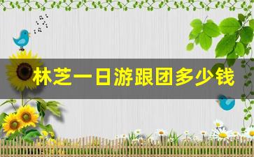 林芝一日游跟团多少钱