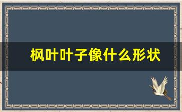 枫叶叶子像什么形状