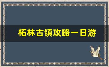 柘林古镇攻略一日游