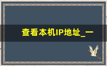 查看本机IP地址_一键换ip地址免费版