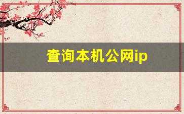 查询本机公网ip