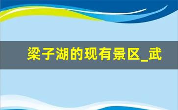 梁子湖的现有景区_武汉梁子湖门票