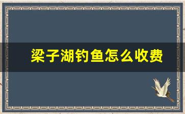 梁子湖钓鱼怎么收费