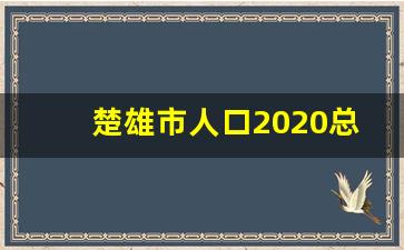 楚雄市人口2020总人数口