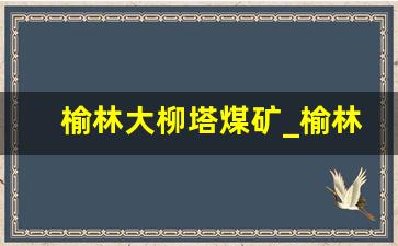 榆林大柳塔煤矿_榆林煤矿有哪些