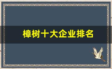 樟树十大企业排名