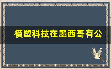 模塑科技在墨西哥有公司