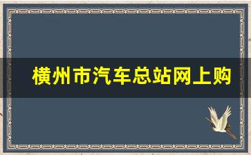 横州市汽车总站网上购票_惠州客运南站是总站吗