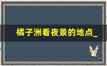 橘子洲看夜景的地点_长沙橘子洲头夜景图片