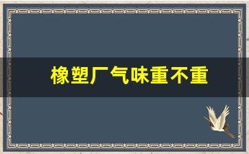 橡塑厂气味重不重