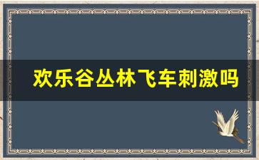 欢乐谷丛林飞车刺激吗_欢乐谷失重感最强的项目