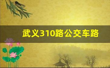 武义310路公交车路线时间表_武义县公交车时刻表