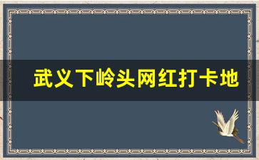 武义下岭头网红打卡地_武义下岭头露营基地