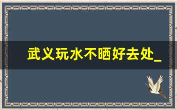 武义玩水不晒好去处_金华哪里有玩水的地方