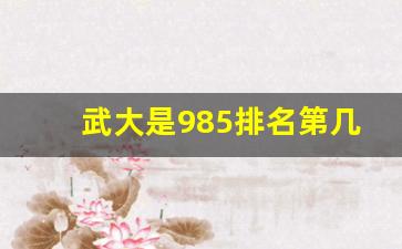 武大是985排名第几_武大是985还是211大学