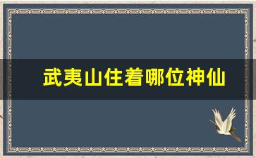 武夷山住着哪位神仙