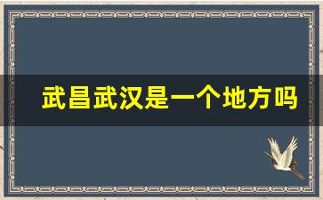 武昌武汉是一个地方吗