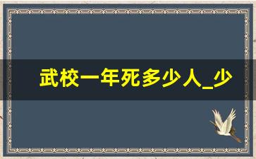 武校一年死多少人_少林寺打死孩子图片