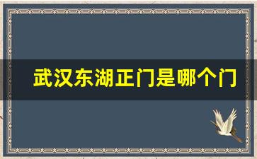 武汉东湖正门是哪个门口