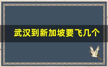 武汉到新加坡要飞几个小时_武汉直飞新加坡多少钱