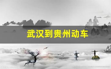 武汉到贵州动车