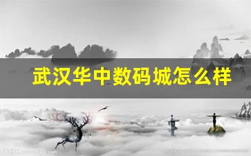 武汉华中数码城怎么样