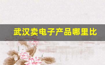 武汉卖电子产品哪里比较多_武汉电子元器件批发市场