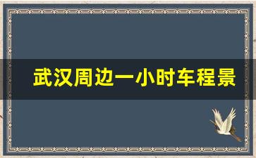 武汉周边一小时车程景点