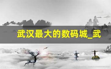 武汉最大的数码城_武汉华中数码城怎么样