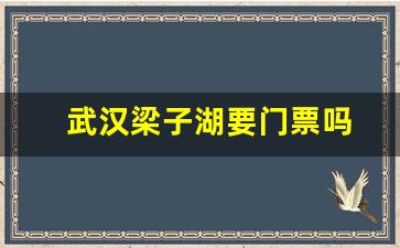 武汉梁子湖要门票吗