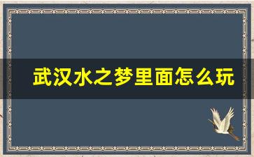 武汉水之梦里面怎么玩