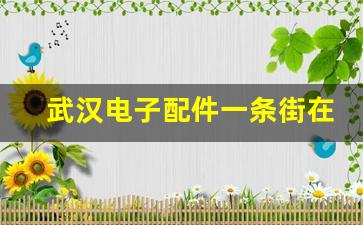 武汉电子配件一条街在哪里_武汉哪里卖电子元器件