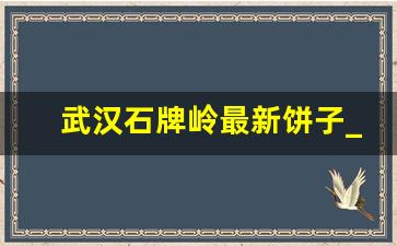 武汉石牌岭最新饼子_武汉哪里快餐饼子最年轻