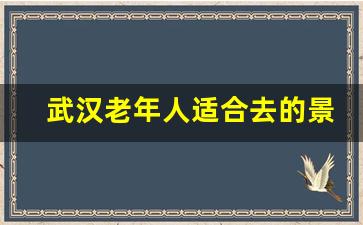 武汉老年人适合去的景点_武汉带老人有什么好玩的地方