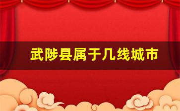 武陟县属于几线城市