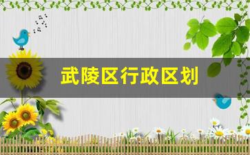 武陵区行政区划