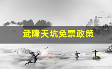 武隆天坑免票政策