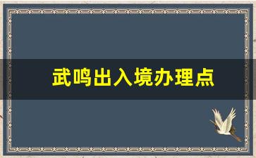 武鸣出入境办理点