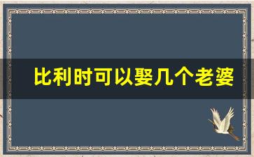 比利时可以娶几个老婆_比利时一日三餐吃什么