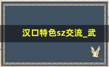 汉口特色sz交流_武汉饼子街地址详细