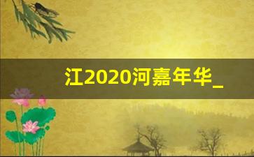 江2020河嘉年华_南河嘉年华图片