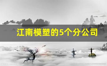 江南模塑的5个分公司_武汉名杰模塑有限公司招聘