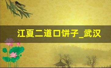 江夏二道口饼子_武汉剁饼子交流2023