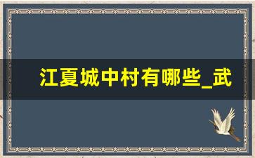 江夏城中村有哪些_武汉现在还有城中村吗