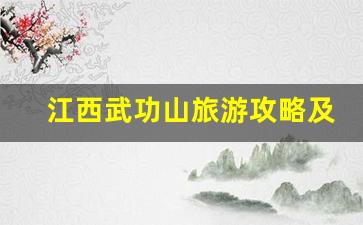 江西武功山旅游攻略及费用价格_武当山2023收费标准