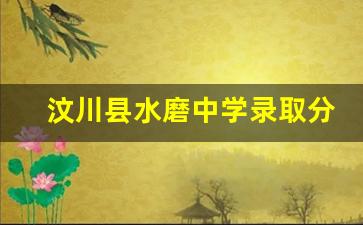 汶川县水磨中学录取分数