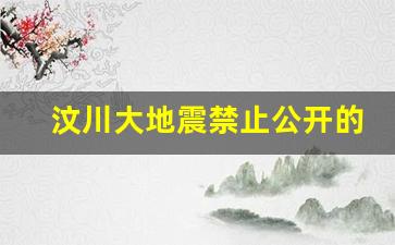 汶川大地震禁止公开的照片_512地震被禁照片在哪里看